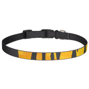 Tiger Black and Orange Print Pet Collar