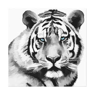black and white tiger eyes drawing