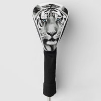 Tiger Black and White Blue eyes