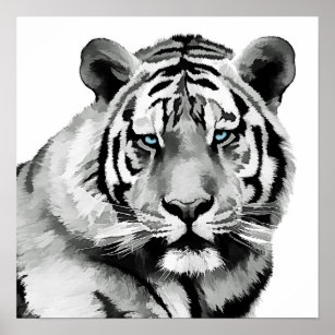 Tiger Black and White Blue eyes Poster