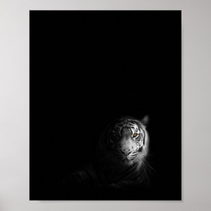 Photo Poster Print Art * All Sizes 3588 WHITE BENGAL TIGERS Animal Poster 