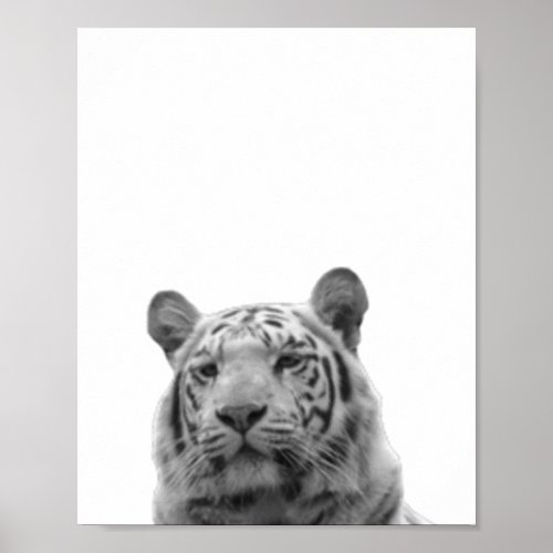 Tiger Black White  Cabin Nursery Photo Poster