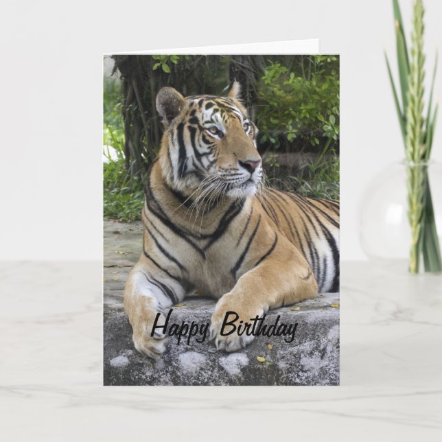 Tiger Blank Birthday  Card (Front)