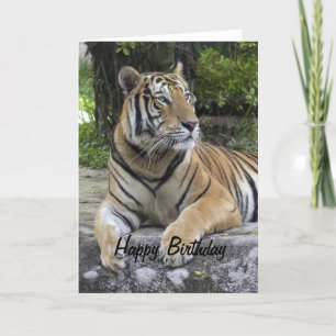 Tiger Blank Birthday Card