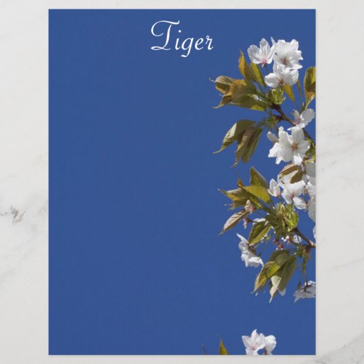 Tiger Blossom Letterhead (Front)
