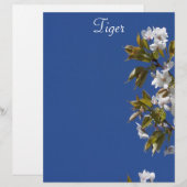 Tiger Blossom Letterhead (Front/Back)