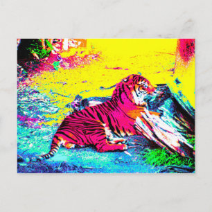 Tiger Bright Postcard