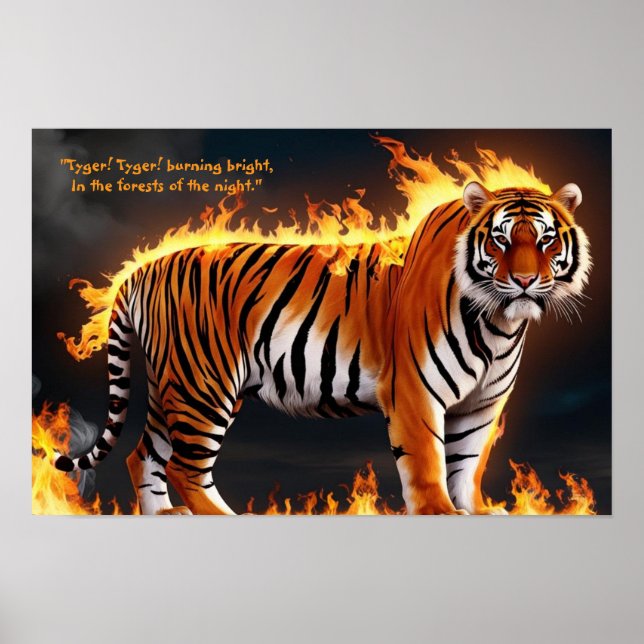 Tiger Burning  Poster (Front)