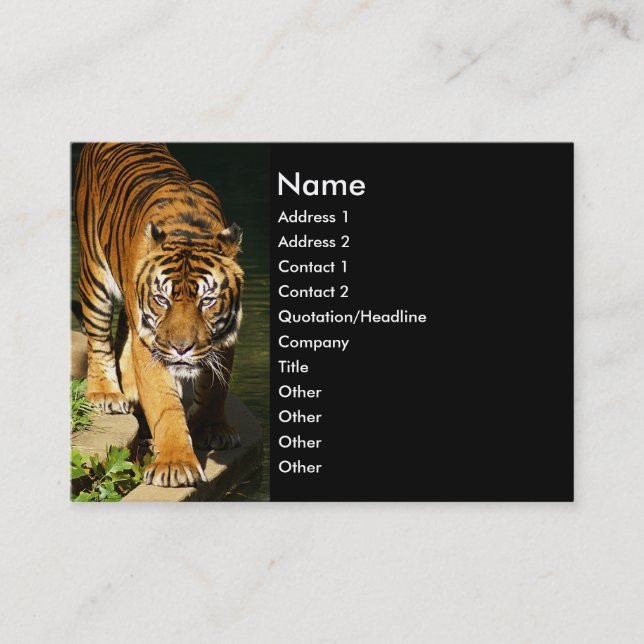 tiger business card (Front)