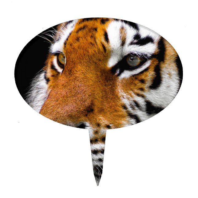 Tiger Cake Topper (Front)