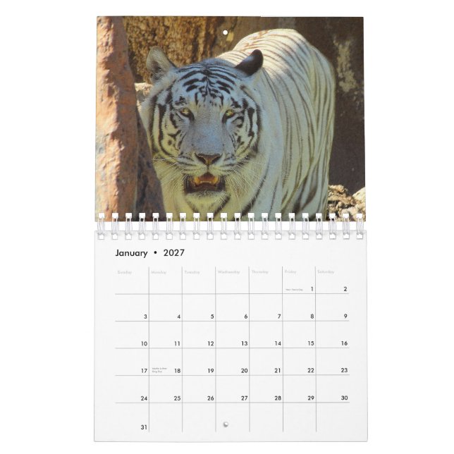 Tiger Calendar (Jan 2027)