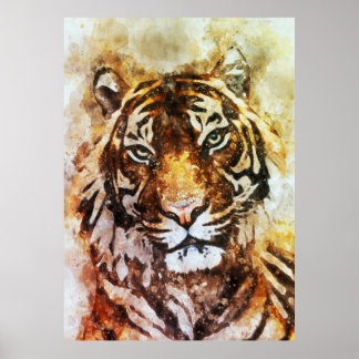 Tiger canvas art poster