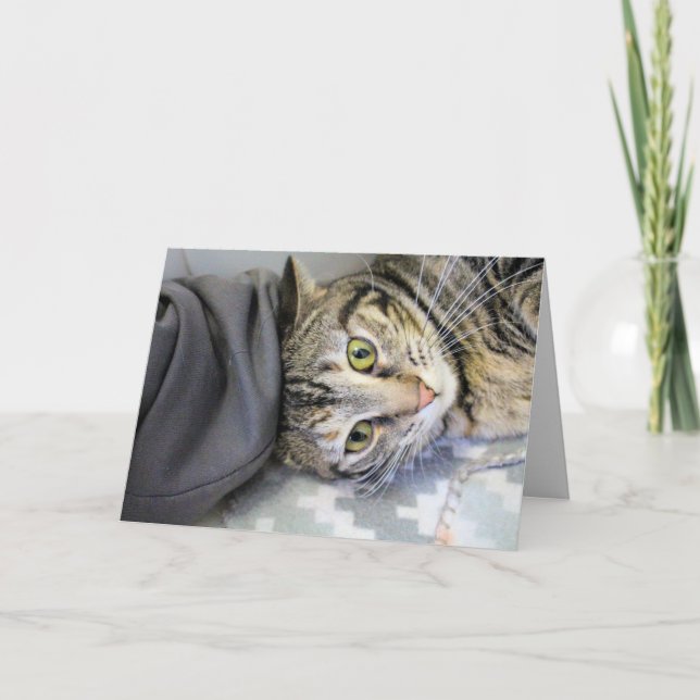 Tiger Card (Front)