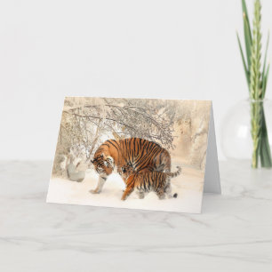 Tiger Card