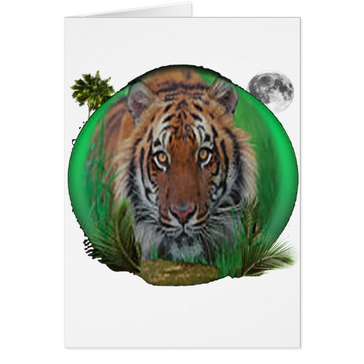 Tiger Cards (Front)