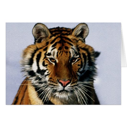 tiger cards (Front Horizontal)