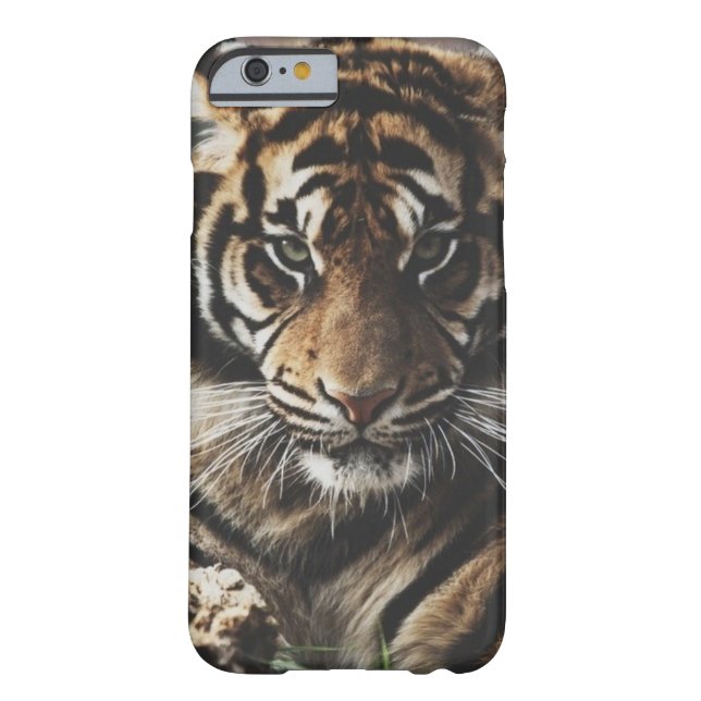 Tiger Case (Back)