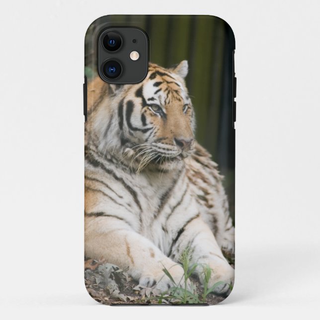 Tiger Case-Mate iPhone Case (Back)