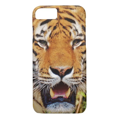 Tiger iPhone 87 Case