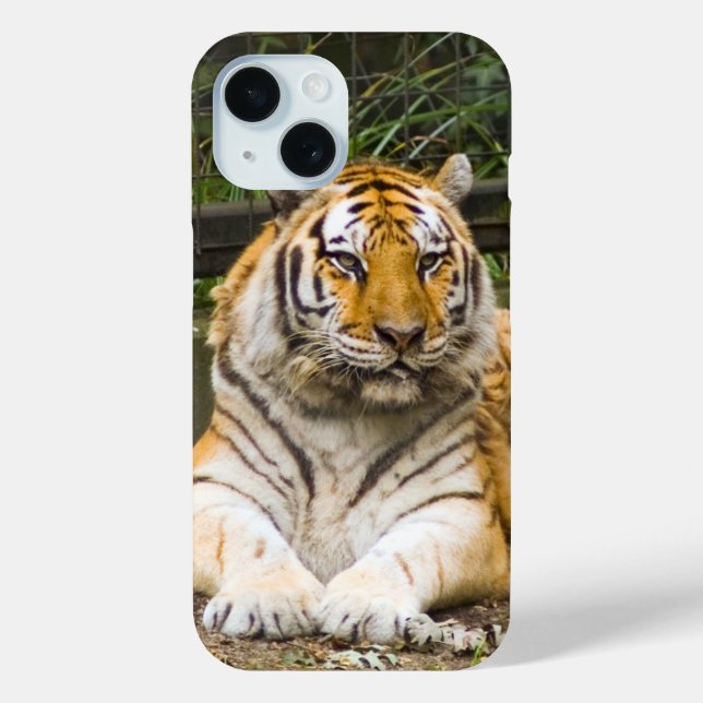 Tiger Case-Mate iPhone Case (Back)