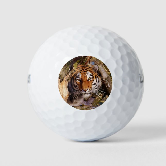 Tiger Cat Animal Stripes Pattern Destiny Destiny's Golf Balls (Front)