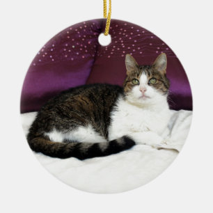 Tiger Cat Ceramic Ornament