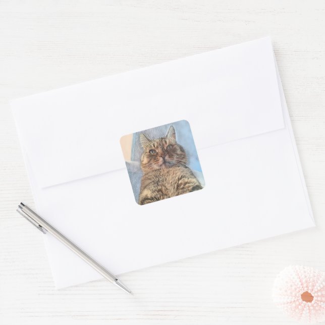 Tiger Cat Illustration Design Square Sticker (Envelope)