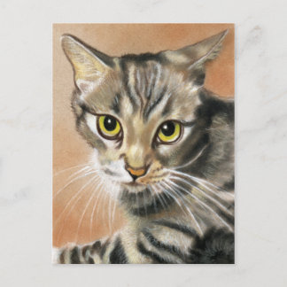 Tiger Cat Kitten Animal Postcard
