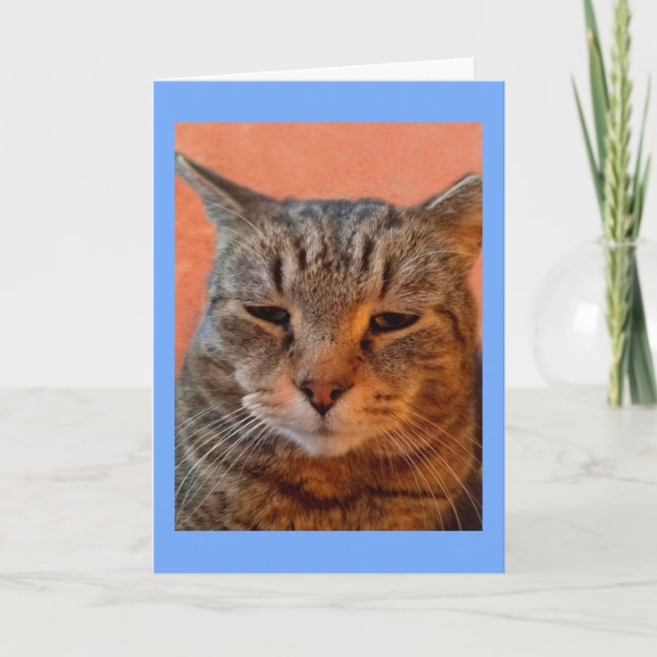 Tiger Cat Miss You Card | Zazzle