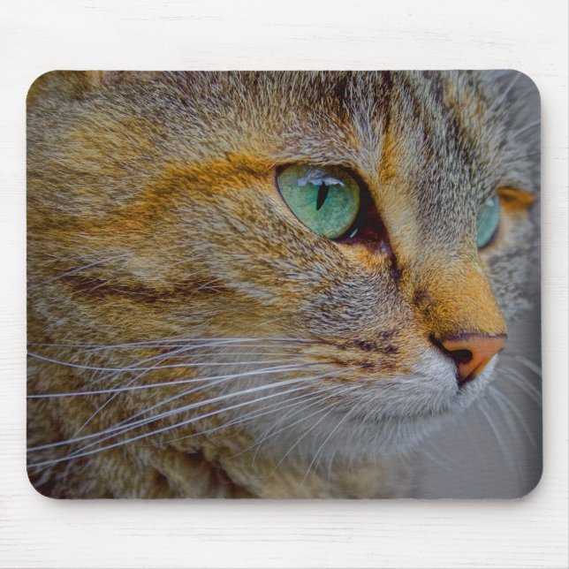 Tiger Cat Portrait Mouse Pad (Front)