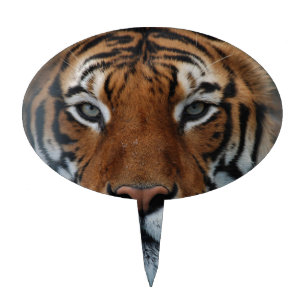 Tiger Cat Stripes Jungle Mist Animal Cake Topper