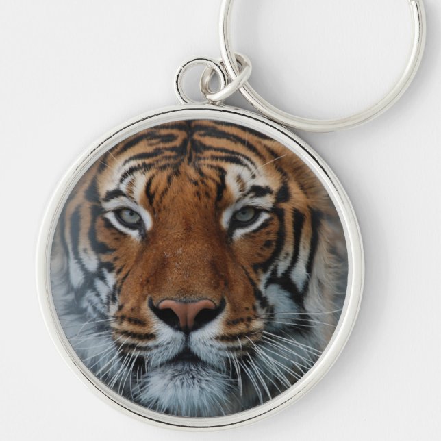 Tiger Cat Stripes Jungle Mist Animal Keychain (Front)