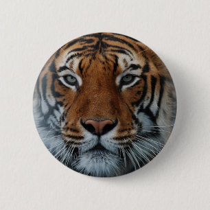 Tiger Cat Stripes Jungle Mist Animal Pinback Button