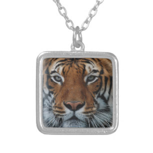 Tiger Cat Stripes Jungle Mist Animal Silver Plated Necklace