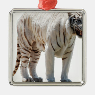Tiger cat stripes personalize diy Anniversaries Metal Ornament