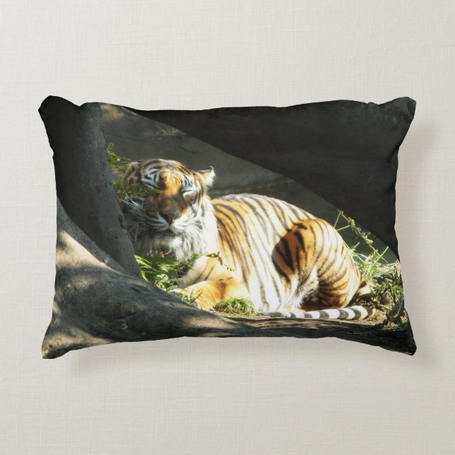 Tiger Catnap Accent Pillow (Front)