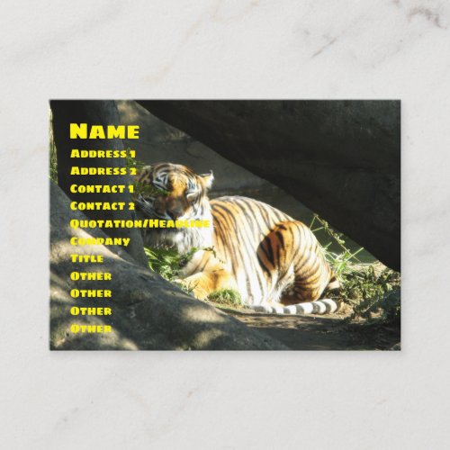Tiger Catnap Business Card