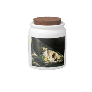Tiger Catnap Candy Jar