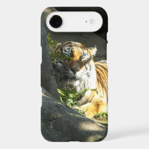 Tiger Catnap iPhone 17 Air Case