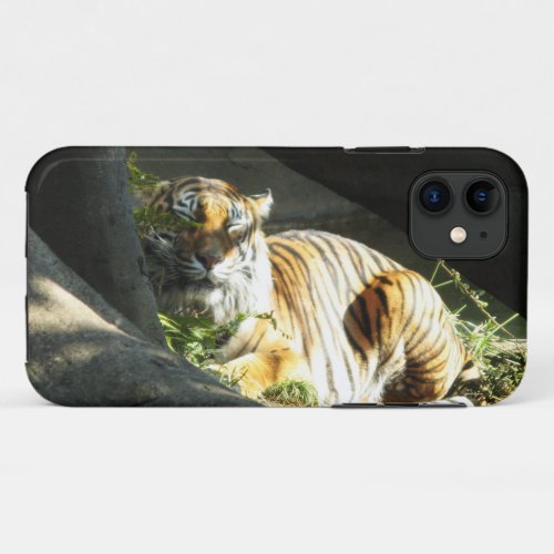 Tiger Catnap iPhone 11 Case