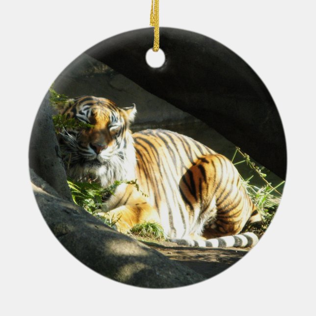 Tiger Catnap Ceramic Ornament (Back)