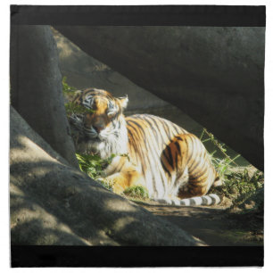 Tiger Catnap Cloth Napkin