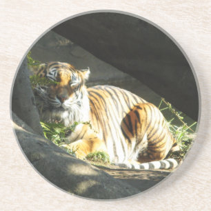 Tiger Catnap Coaster
