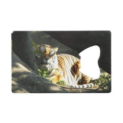 Tiger Catnap Credit Card Bottle Opener