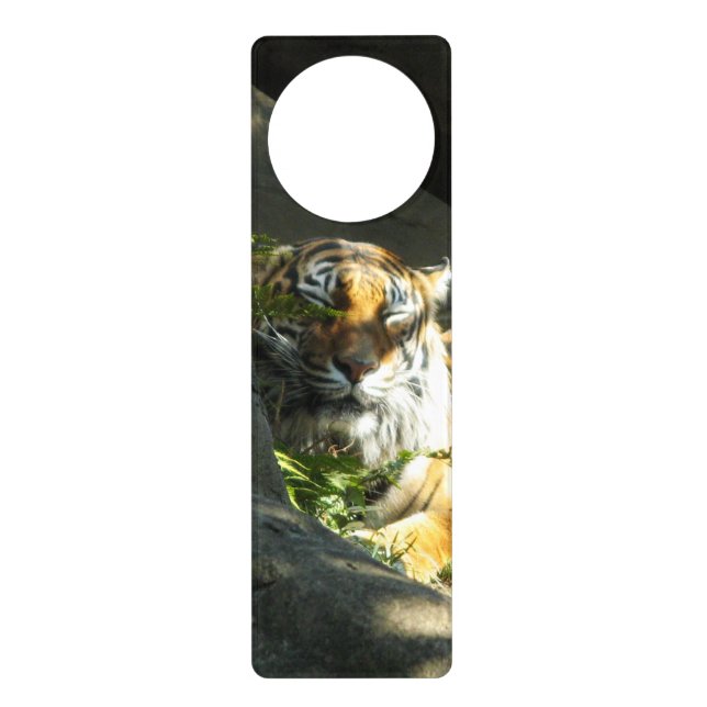 Tiger Catnap Door Hanger (Front)