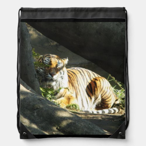 Tiger Catnap Drawstring Bag