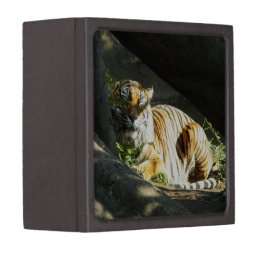 Tiger Catnap Gift Box