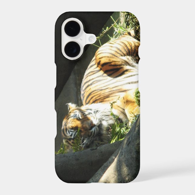 Tiger Catnap Iphone Case (Back)