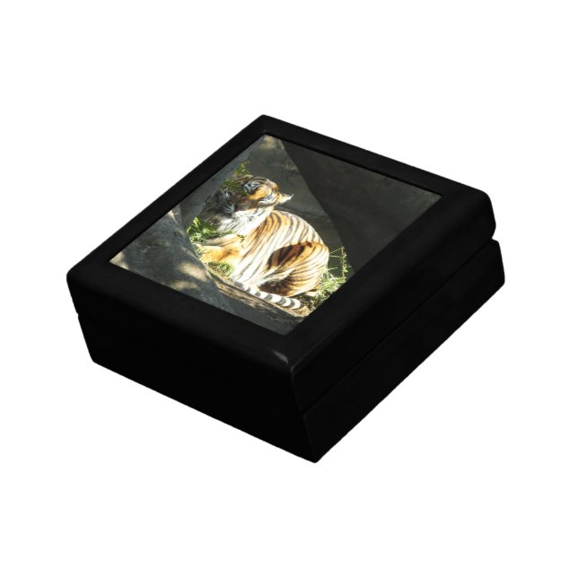 Tiger Catnap Jewelry Box (Side)