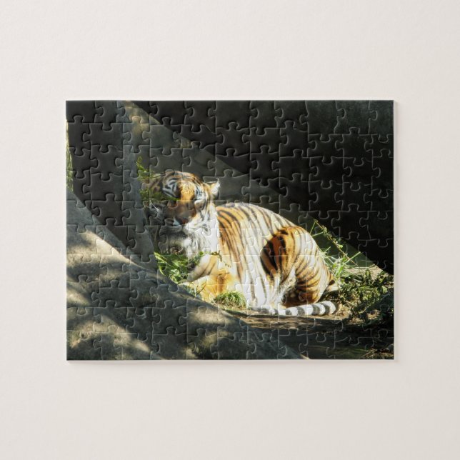 Tiger Catnap Jigsaw Puzzle (Horizontal)